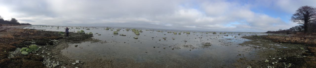 panorama 3
