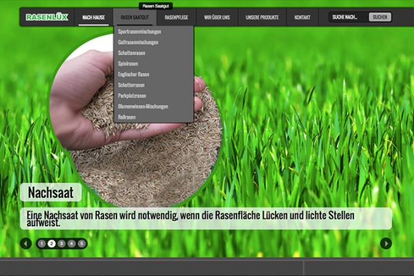 Rasenlux LTD