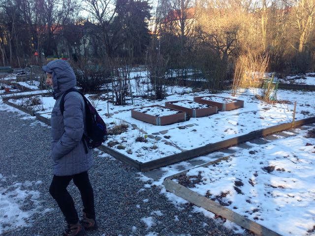 Solna 17